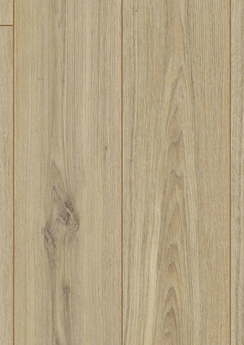 D3073 Phalsbourg Oak Robusto
