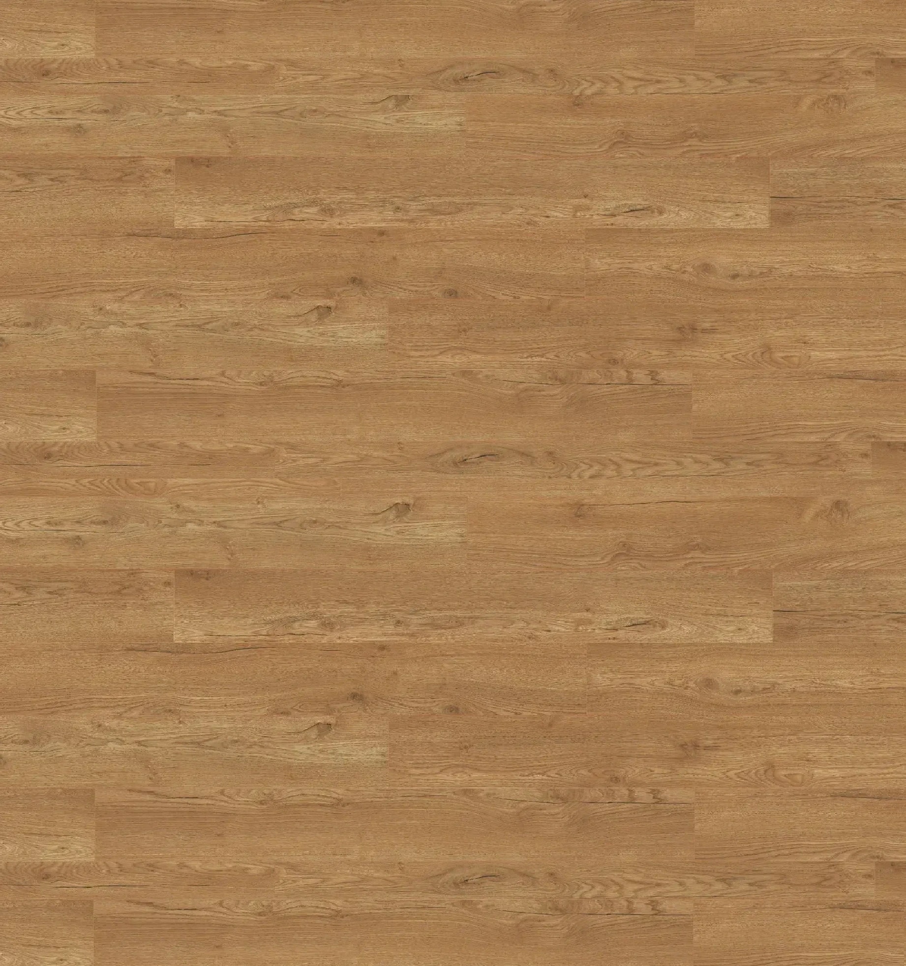 EPL144 Olchon Oak honey