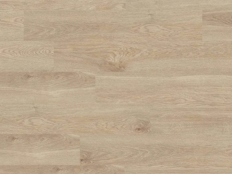 K406 Eurus Oak