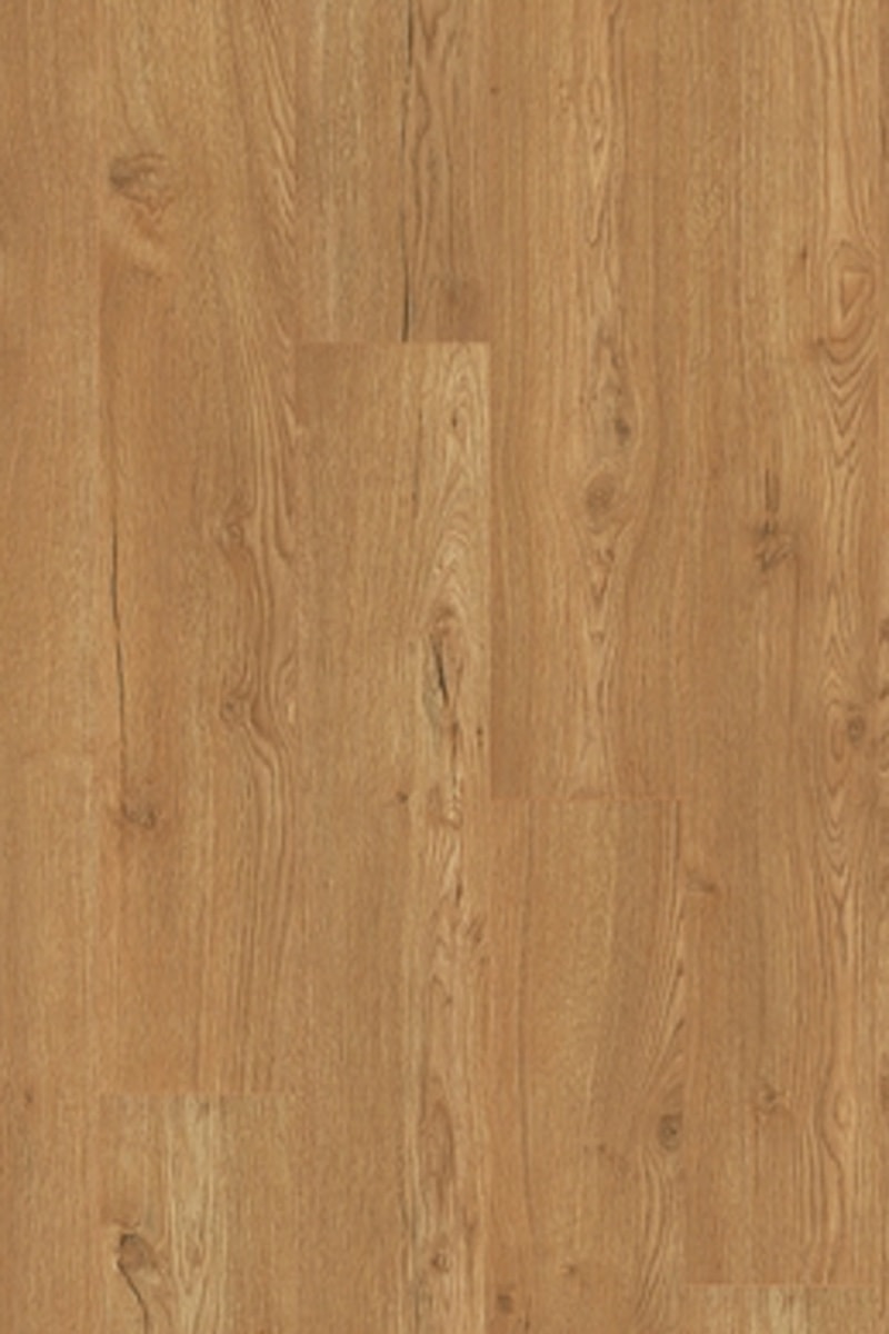 EPL144 Olchon Oak honey