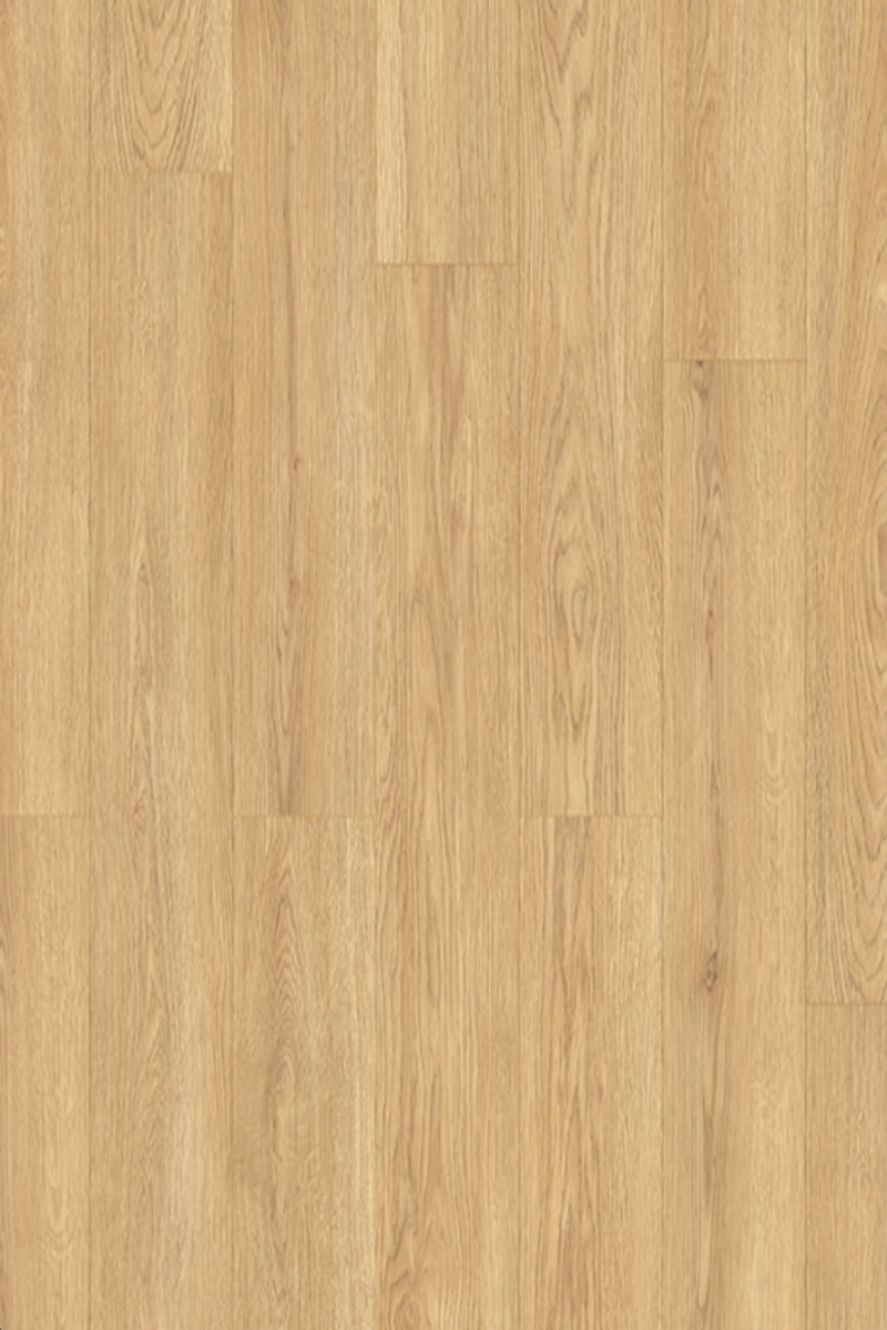 K638 Jaxx Oak