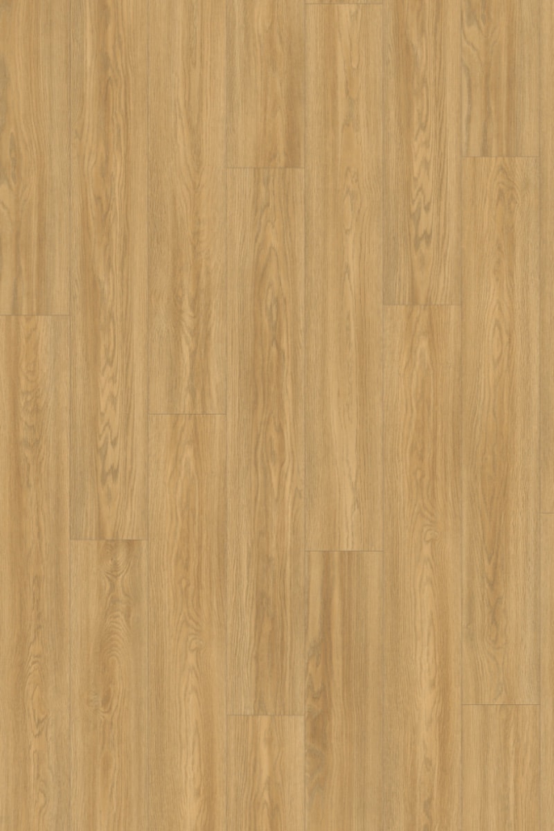 EL2064 Natural Soria Oak