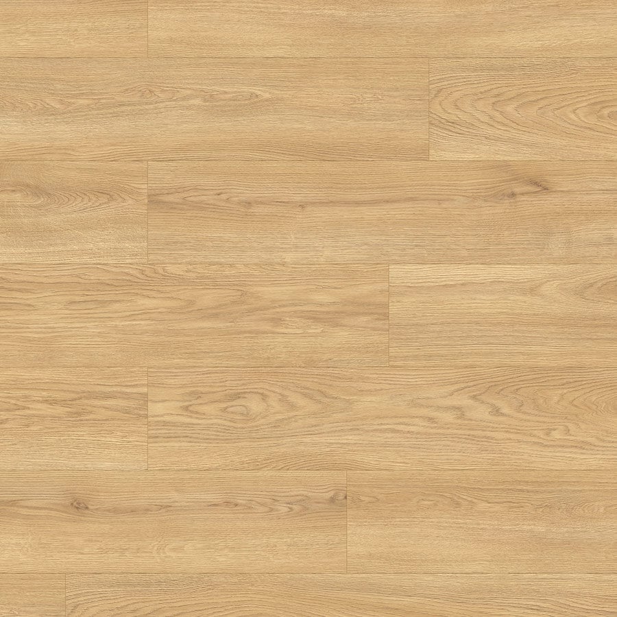 parket gjerman vrohoriti tirane